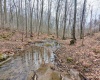 689 Burris Road, Bruceton Mills, West Virginia 26525, 0 , 0 ,0,Lots/land,For Sale,Burris,0,10166685