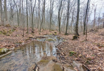 689 Burris Road, Bruceton Mills, West Virginia 26525, 0 , 0 ,0,Lots/land,For Sale,Burris,0,10166685
