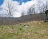 689 Burris Road, Bruceton Mills, West Virginia 26525, 0 , 0 ,0,Lots/land,For Sale,Burris,0,10166685