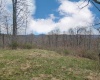 689 Burris Road, Bruceton Mills, West Virginia 26525, 0 , 0 ,0,Lots/land,For Sale,Burris,0,10166685