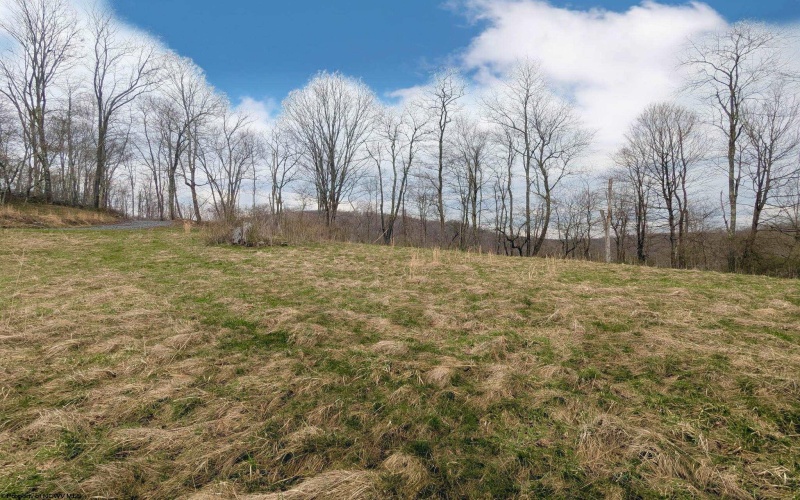 689 Burris Road, Bruceton Mills, West Virginia 26525, 0 , 0 ,0,Lots/land,For Sale,Burris,0,10166685