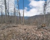 689 Burris Road, Bruceton Mills, West Virginia 26525, 0 , 0 ,0,Lots/land,For Sale,Burris,0,10166685