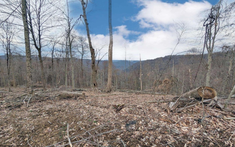 689 Burris Road, Bruceton Mills, West Virginia 26525, 0 , 0 ,0,Lots/land,For Sale,Burris,0,10166685