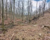689 Burris Road, Bruceton Mills, West Virginia 26525, 0 , 0 ,0,Lots/land,For Sale,Burris,0,10166685