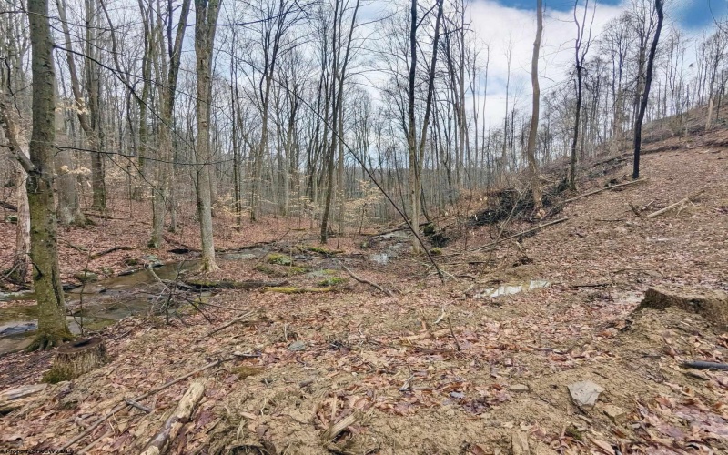 689 Burris Road, Bruceton Mills, West Virginia 26525, 0 , 0 ,0,Lots/land,For Sale,Burris,0,10166685
