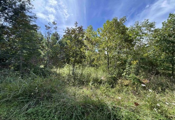 165 Merdian Road, Philippi, West Virginia 26416, 0 , 0 ,0,Lots/land,For Sale,Merdian,0,10166689