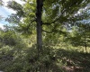 165 Merdian Road, Philippi, West Virginia 26416, 0 , 0 ,0,Lots/land,For Sale,Merdian,0,10166689