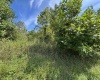 165 Merdian Road, Philippi, West Virginia 26416, 0 , 0 ,0,Lots/land,For Sale,Merdian,0,10166689