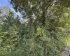 165 Merdian Road, Philippi, West Virginia 26416, 0 , 0 ,0,Lots/land,For Sale,Merdian,0,10166689