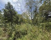 165 Merdian Road, Philippi, West Virginia 26416, 0 , 0 ,0,Lots/land,For Sale,Merdian,0,10166689