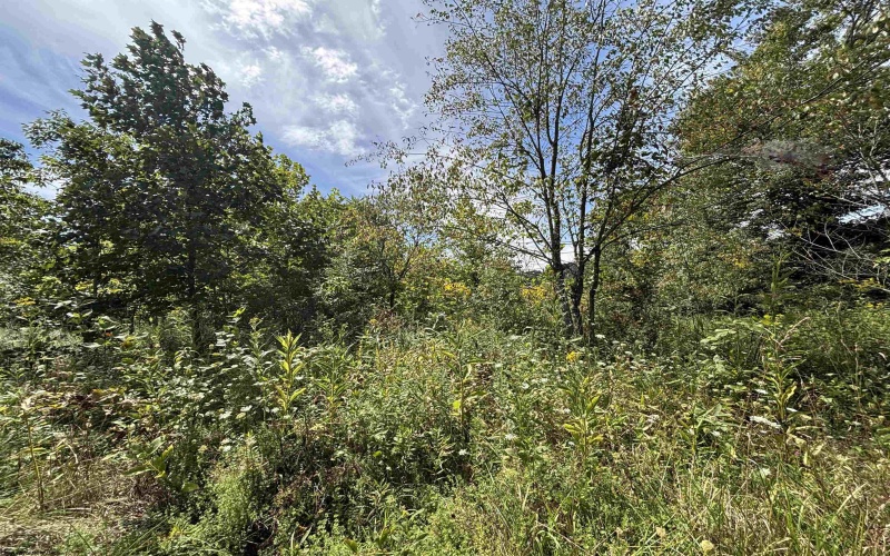 165 Merdian Road, Philippi, West Virginia 26416, 0 , 0 ,0,Lots/land,For Sale,Merdian,0,10166689