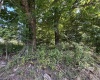 165 Merdian Road, Philippi, West Virginia 26416, 0 , 0 ,0,Lots/land,For Sale,Merdian,0,10166689