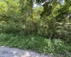 165 Merdian Road, Philippi, West Virginia 26416, 0 , 0 ,0,Lots/land,For Sale,Merdian,0,10166689