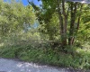 165 Merdian Road, Philippi, West Virginia 26416, 0 , 0 ,0,Lots/land,For Sale,Merdian,0,10166689