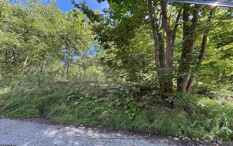 165 Merdian Road, Philippi, West Virginia 26416, 0 , 0 ,0,Lots/land,For Sale,Merdian,0,10166689