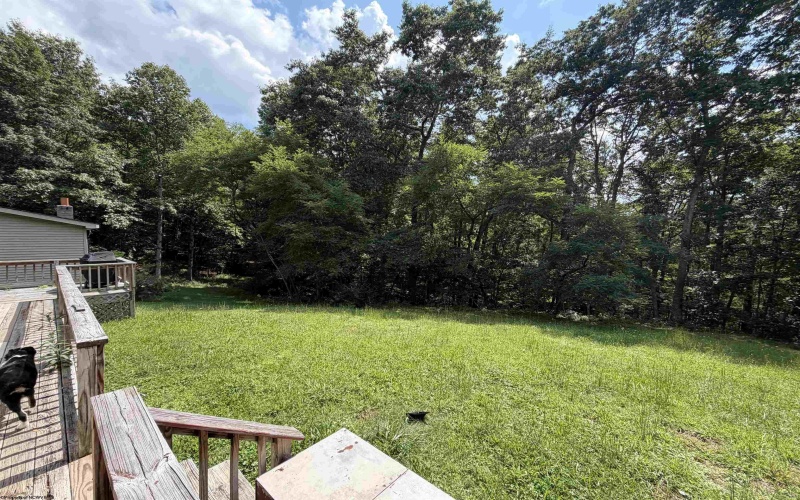 1685 Riffle Creek Road, Huttonsville, West Virginia 26273, 3 Bedroom Bedrooms, 7 Room Rooms,2 BathroomBathrooms,Single Family Detached,For Sale,Riffle Creek,0,10166700