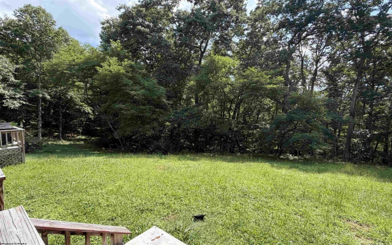 1685 Riffle Creek Road, Huttonsville, West Virginia 26273, 3 Bedroom Bedrooms, 7 Room Rooms,2 BathroomBathrooms,Single Family Detached,For Sale,Riffle Creek,0,10166700