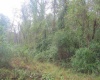 00 Rosedale Hill Road, Morgantown, West Virginia 26541, 0 , 0 ,0,Lots/land,For Sale,Rosedale Hill,0,10147575