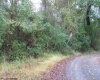 00 Rosedale Hill Road, Morgantown, West Virginia 26541, 0 , 0 ,0,Lots/land,For Sale,Rosedale Hill,0,10147575