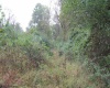 00 Rosedale Hill Road, Morgantown, West Virginia 26541, 0 , 0 ,0,Lots/land,For Sale,Rosedale Hill,0,10147575