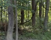 TBD Kimberly Lane, Kingwood, West Virginia 26537, 0 , 0 ,0,Lots/land,For Sale,Kimberly,0,10166723