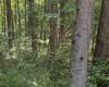 TBD Kimberly Lane, Kingwood, West Virginia 26537, 0 , 0 ,0,Lots/land,For Sale,Kimberly,0,10166723