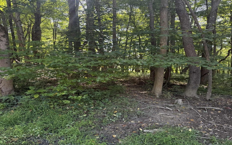 TBD Kimberly Lane, Kingwood, West Virginia 26537, 0 , 0 ,0,Lots/land,For Sale,Kimberly,0,10166723
