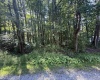 TBD Kimberly Lane, Kingwood, West Virginia 26537, 0 , 0 ,0,Lots/land,For Sale,Kimberly,0,10166723