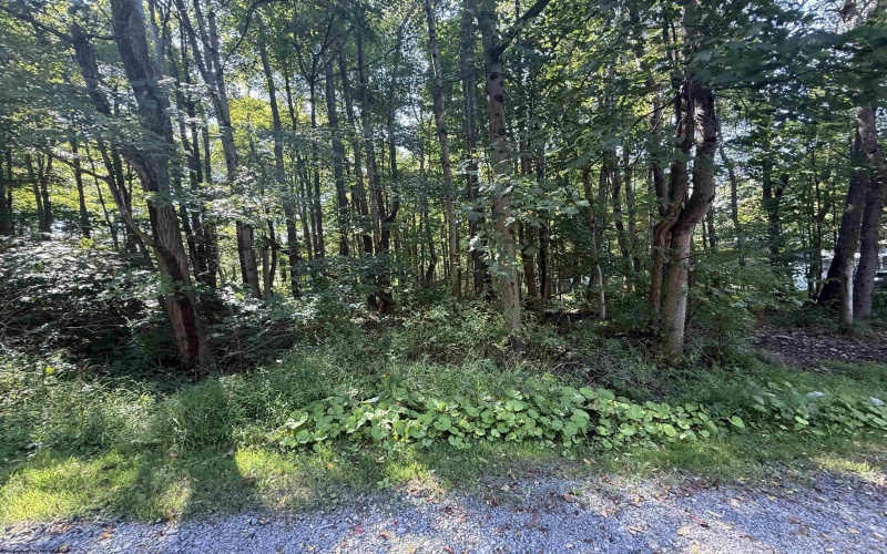 TBD Kimberly Lane, Kingwood, West Virginia 26537, 0 , 0 ,0,Lots/land,For Sale,Kimberly,0,10166723