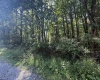 TBD Kimberly Lane, Kingwood, West Virginia 26537, 0 , 0 ,0,Lots/land,For Sale,Kimberly,0,10166723