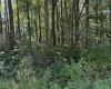 TBD Kimberly Lane, Kingwood, West Virginia 26537, 0 , 0 ,0,Lots/land,For Sale,Kimberly,0,10166723