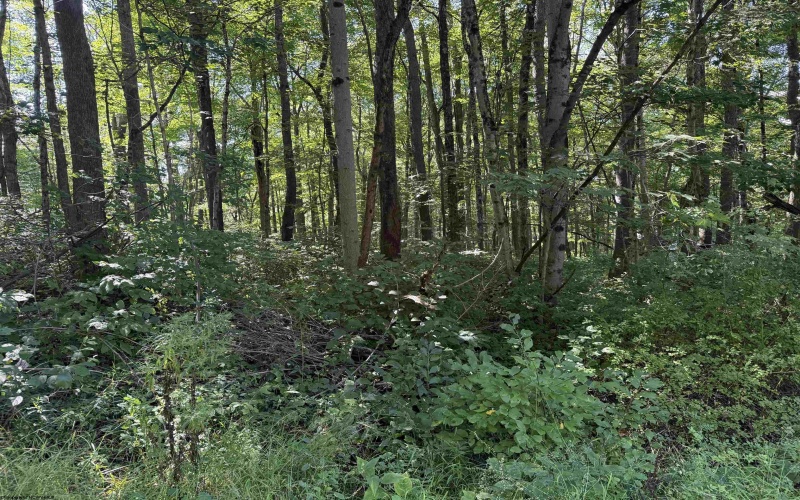 TBD Kimberly Lane, Kingwood, West Virginia 26537, 0 , 0 ,0,Lots/land,For Sale,Kimberly,0,10166723