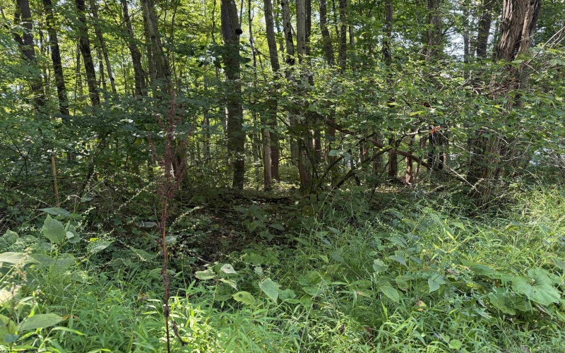TBD Kimberly Lane, Kingwood, West Virginia 26537, 0 , 0 ,0,Lots/land,For Sale,Kimberly,0,10166723