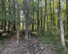 TBD Kimberly Lane, Kingwood, West Virginia 26537, 0 , 0 ,0,Lots/land,For Sale,Kimberly,0,10166723