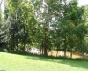 85 Forinash Road, Weston, West Virginia 26452-0000, 3 Bedroom Bedrooms, 6 Room Rooms,2 BathroomBathrooms,Single Family Detached,For Sale,Forinash,0,10166720