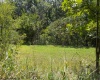 27785 Mountaineer Highway, Hundred, West Virginia 26575, 0 , 0 ,0,Lots/land,For Sale,Mountaineer,0,10166742 27785 Mountaineer Highway, Hundred, West Virginia 26575, 0 , 0 ,0,Lots/land,For Sale,Mountaineer,0,10166742