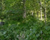 27785 Mountaineer Highway, Hundred, West Virginia 26575, 0 , 0 ,0,Lots/land,For Sale,Mountaineer,0,10166742 27785 Mountaineer Highway, Hundred, West Virginia 26575, 0 , 0 ,0,Lots/land,For Sale,Mountaineer,0,10166742