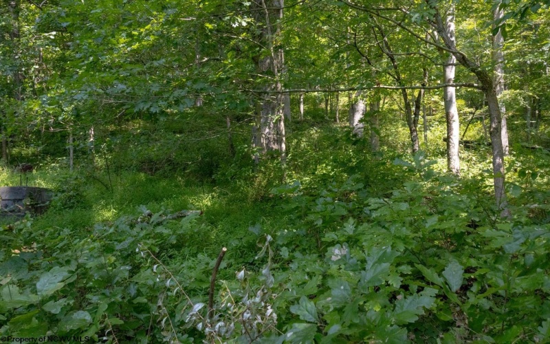 27785 Mountaineer Highway, Hundred, West Virginia 26575, 0 , 0 ,0,Lots/land,For Sale,Mountaineer,0,10166742 27785 Mountaineer Highway, Hundred, West Virginia 26575, 0 , 0 ,0,Lots/land,For Sale,Mountaineer,0,10166742