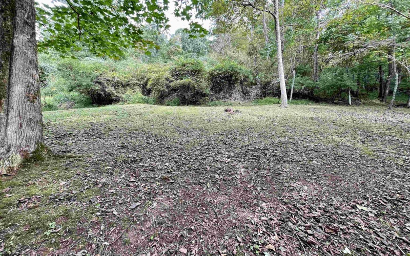1161 Clover Fork Road, Orlando, West Virginia 26412, 2 Bedroom Bedrooms, 5 Room Rooms,2 BathroomBathrooms,Single Family Detached,For Sale,Clover Fork,0,10166748