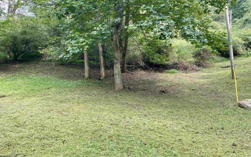 1161 Clover Fork Road, Orlando, West Virginia 26412, 2 Bedroom Bedrooms, 5 Room Rooms,2 BathroomBathrooms,Single Family Detached,For Sale,Clover Fork,0,10166748
