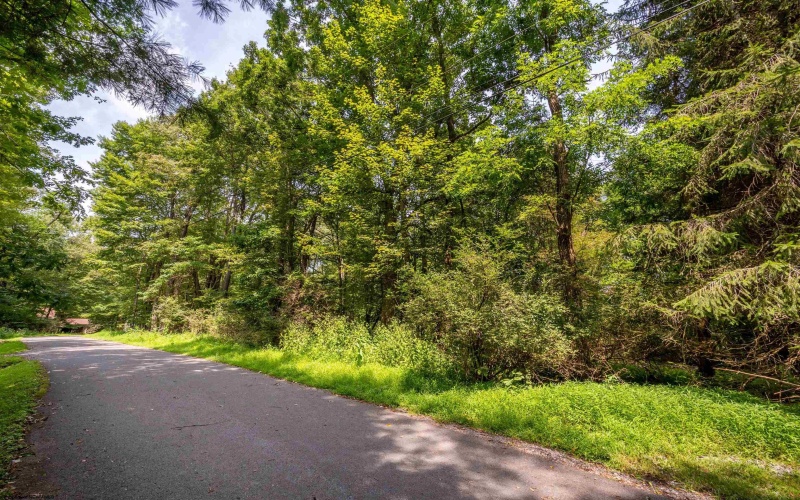 236 Pine Drive, Terra Alta, West Virginia 26764, 2 Bedroom Bedrooms, 8 Room Rooms,2 BathroomBathrooms,Single Family Detached,For Sale,Pine,0,10166744