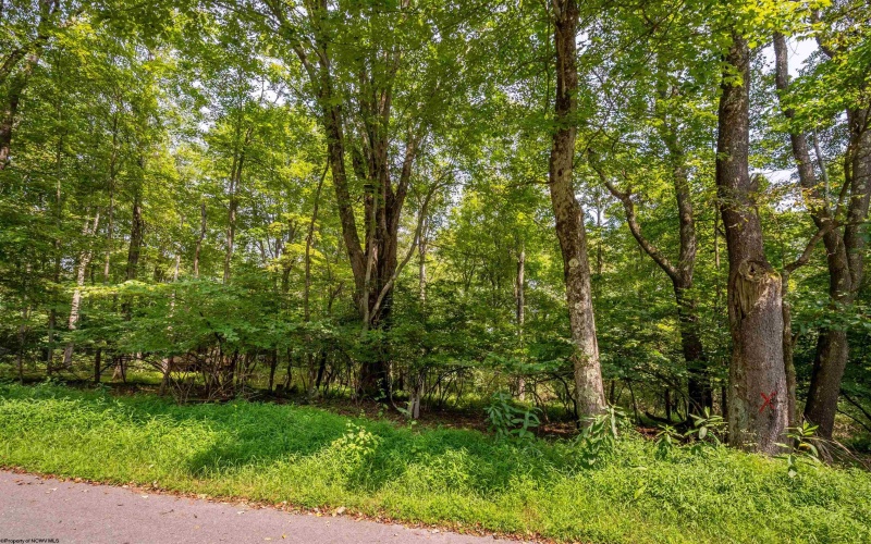 236 Pine Drive, Terra Alta, West Virginia 26764, 2 Bedroom Bedrooms, 8 Room Rooms,2 BathroomBathrooms,Single Family Detached,For Sale,Pine,0,10166744