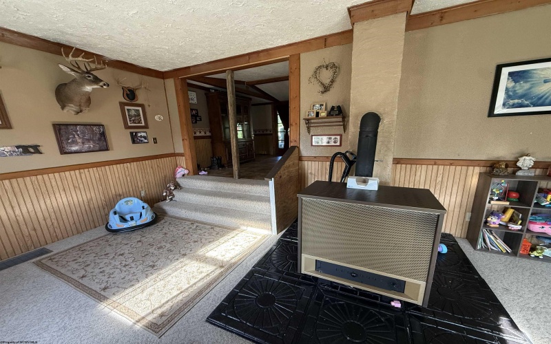 38 Shimier Place, Mill Creek, West Virginia 26280, 3 Bedroom Bedrooms, 9 Room Rooms,2 BathroomBathrooms,Single Family Detached,For Sale,Shimier,0,10166743