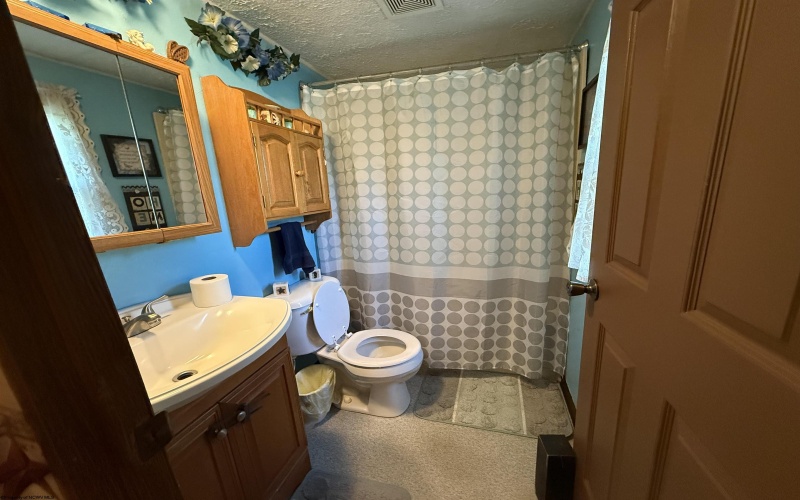38 Shimier Place, Mill Creek, West Virginia 26280, 3 Bedroom Bedrooms, 9 Room Rooms,2 BathroomBathrooms,Single Family Detached,For Sale,Shimier,0,10166743