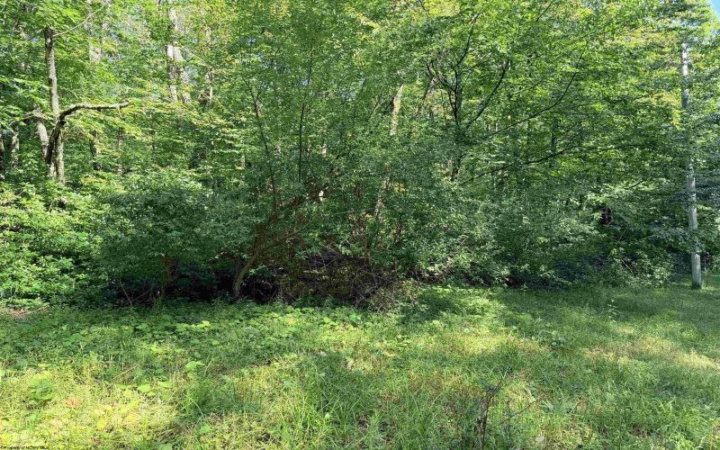 Lot 122 Redwood Drive, Terra Alta, West Virginia 26764, 0 , 0 ,0,Lots/land,For Sale,Redwood,0,10166752