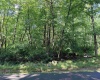 Lot 123 Redwood Drive, Terra Alta, West Virginia 26764, 0 , 0 ,0,Lots/land,For Sale,Redwood,0,10166753