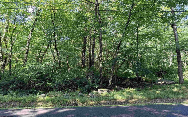 Lot 123 Redwood Drive, Terra Alta, West Virginia 26764, 0 , 0 ,0,Lots/land,For Sale,Redwood,0,10166753