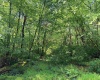 Lot 123 Redwood Drive, Terra Alta, West Virginia 26764, 0 , 0 ,0,Lots/land,For Sale,Redwood,0,10166753