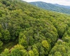 126 Mountainside Road, Davis, West Virginia 26260, 0 , 0 ,0,Lots/land,For Sale,Mountainside,0,10166764