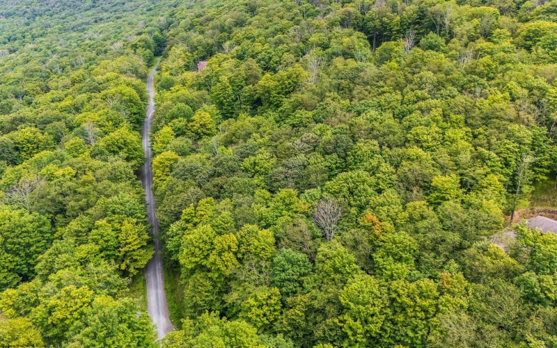 126 Mountainside Road, Davis, West Virginia 26260, 0 , 0 ,0,Lots/land,For Sale,Mountainside,0,10166764